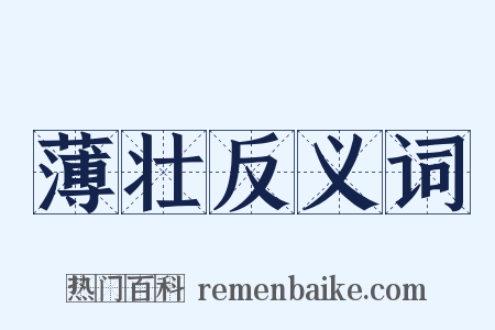 薄壮反义词是什么意思的图片